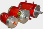 Netgain Motors